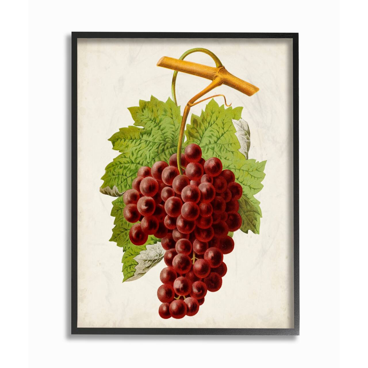 Stupell Industries Vintage Food Fruit Painting in Black Frame Wall Art